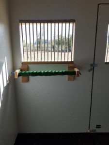 Window perch